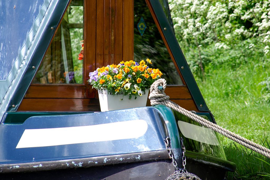 gardening on canal boat flowers