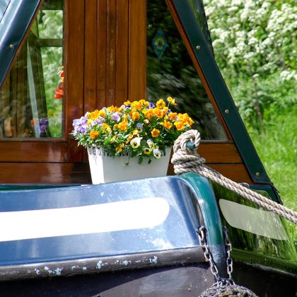 gardening on canal boat flowers