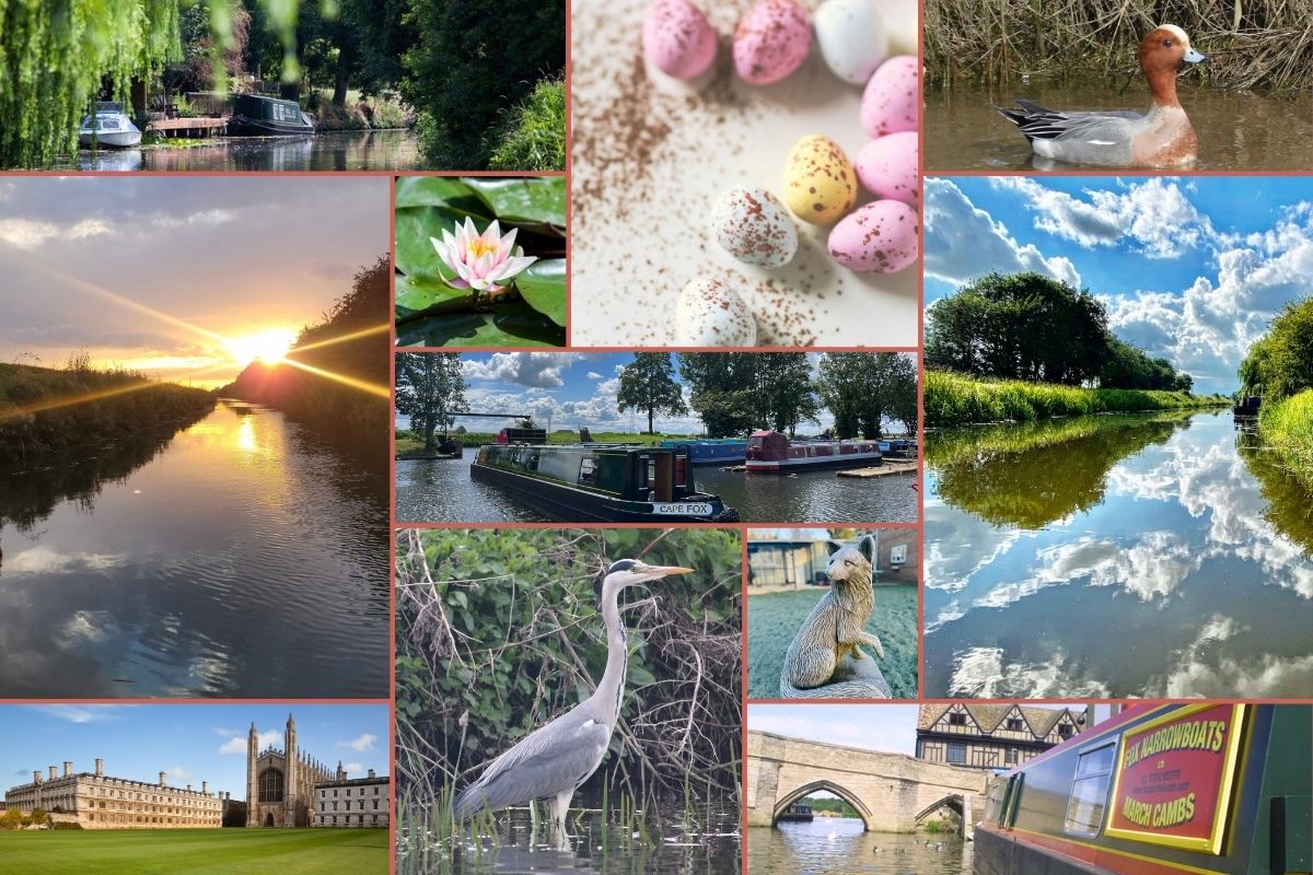 collage spring 2025 wildlife narrowboat holiday river cambridge lily flower ely mooring